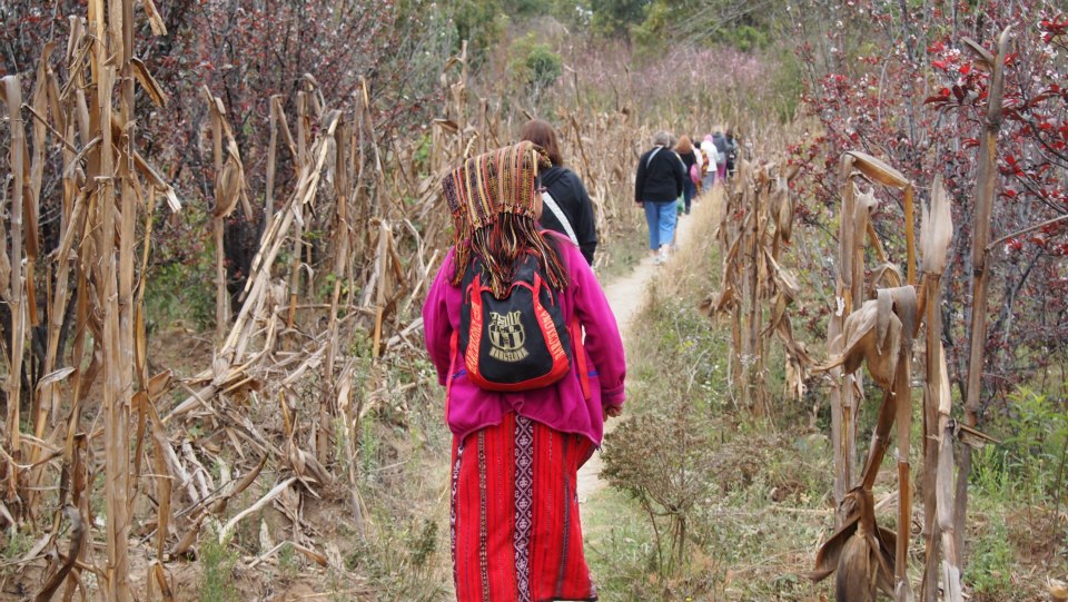 Mayan women hiking in woods